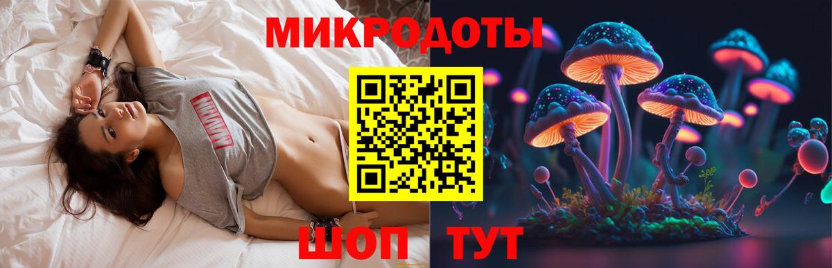 Курчалой  Псилоцибиновые грибы ЛСД  Вход с VPN  Псилоцибиновые грибы Cubensis 